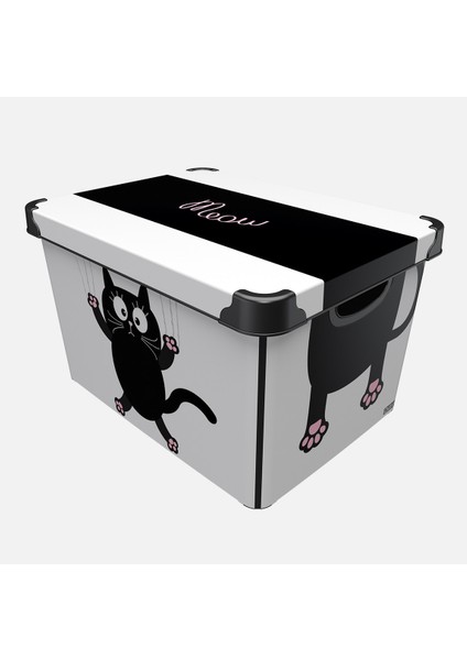 Qutu Style Box Meow Cat