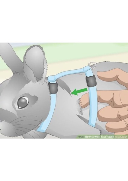 Aynalı Hamster Tuvaleti Hamster Tuvaleti Kumu Yeşil Renk