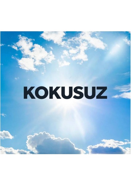 Sineksavar Kokusuz