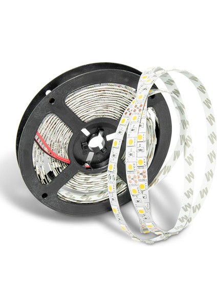3 Çipli 4000K Iç Mekan Şerit LED 12V
