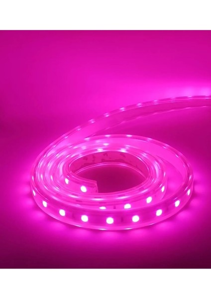 Mor Iç Dış Mekan Silikonlu Şerit LED 220V-VOLT Double Pcb 50 Metre Güç Fişi