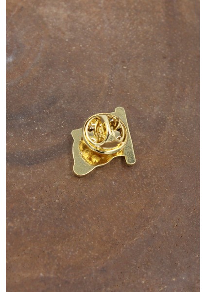 089 5000 Gold Bayrak Yaka Rozeti Standart Standart fiyatları