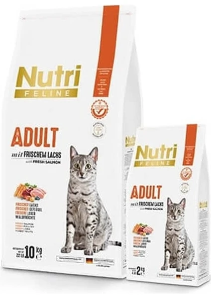 Nutri Feline Somonlu Yetişkin Tahılsız Kedi Maması 10 kg