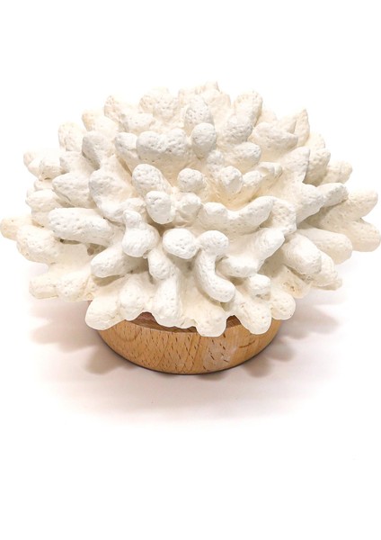 Ahşap Kaideli Aqua Mediterian Kokulu Dekoratif Ekru Mercan Seramik Taş