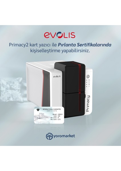 Evolıs ACL001 Standart Temizlik Kiti ACL001