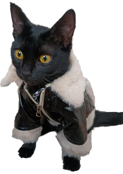 Black Clara Polyester Köpek ve Kedi Yağmurluğu Kışlık Kıyafeti M beden