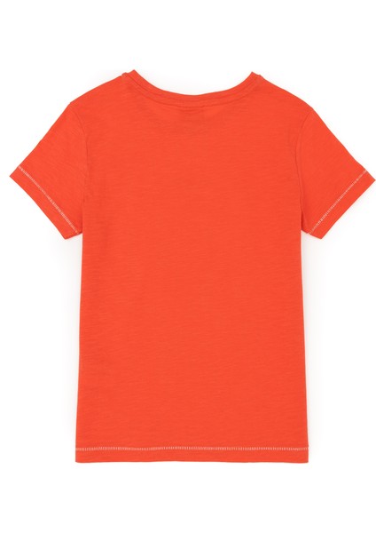 Erkek Çocuk Nar Çiçeği Tişört 50281050-VR039 fiyatları