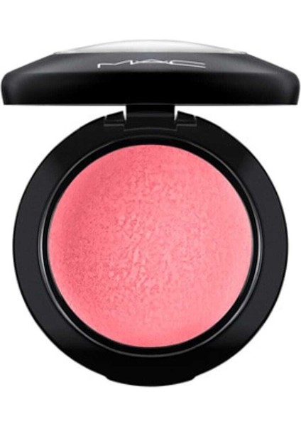 Işıltılı Bitişli Pudra Allık - Mineralize Blush - Happy-go-rosy 4 G