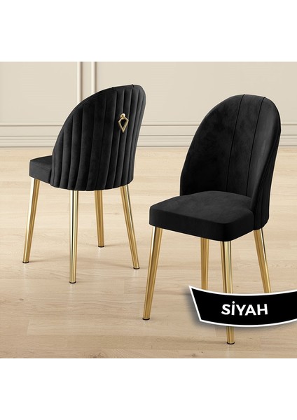 Pem Serisi 90X160 Lak Panel Antrasit Ironi Gold Ayak Masa Takımı 6 Sandalye fiyatları