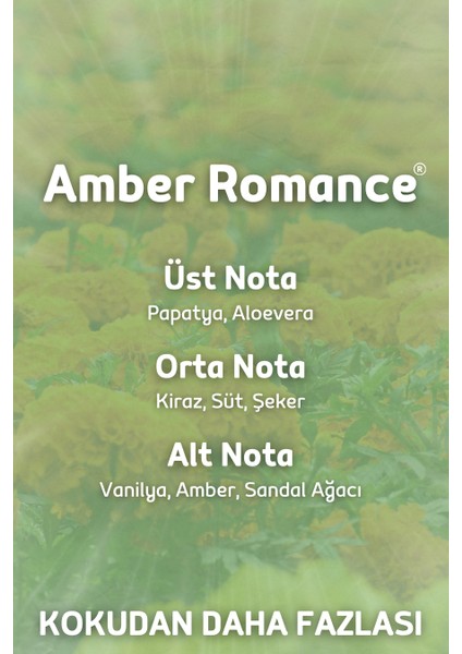 Amber Romantik Yedek Çubuklu Oda Ve Ortam Kokusu Esansı Yedek Dolum Şişe Amber Romantic 250ml