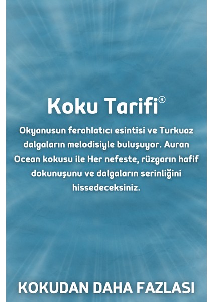 Okyanus Yedek Çubuklu Oda Ve Ortam Kokusu Esansı Yedek Dolum Şişe Ocean 250ml