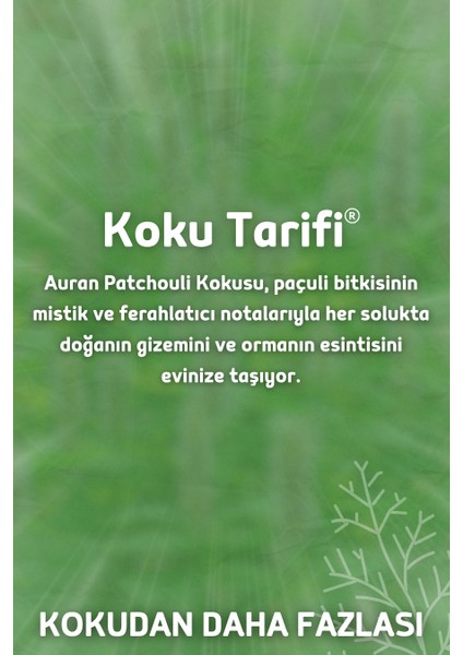 Paçuli Yedek Çubuklu Oda Ve Ortam Kokusu Esansı Yedek Dolum Patchouli 250ml