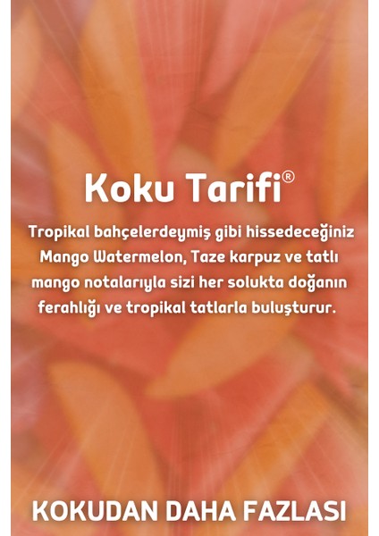 Mango & Karpuz Yedek Çubuklu Oda Ve Ortam Kokusu Esansı Yedek Dolum Mango & Watermelon 250ml