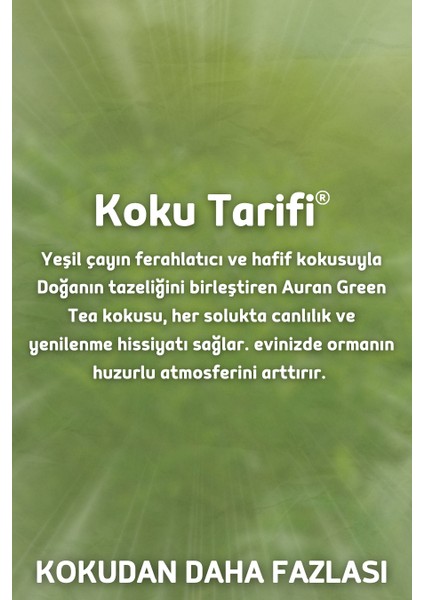 Yeşil Çay Çubuklu Oda Ve Ortam Kokusu Esansı Yedek Dolum Green Tea 500ml