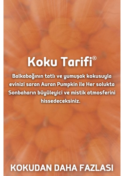 Pumpkin Yedek Çubuklu Oda Ve Ortam Kokusu Esansı Yedek Dolum Venus 250ml