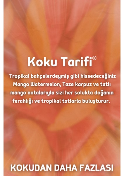 Mango & Watermelon Yedek Çubuklu Oda Ve Ortam Kokusu Esansı Yedek Dolum Şişe Mango 500ml fiyatları