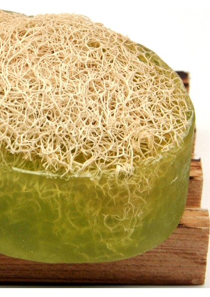 Kabak Lifli El Yapımı Doğal Aloevera Sabunu 120 G x 3 Adet