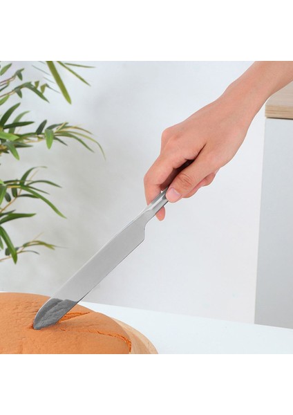 Çelik Silver Pasta Spatula Bıçak Seti Kek Sunum CIN615BY