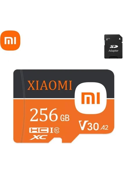 Micro Sd Kart 256 GB