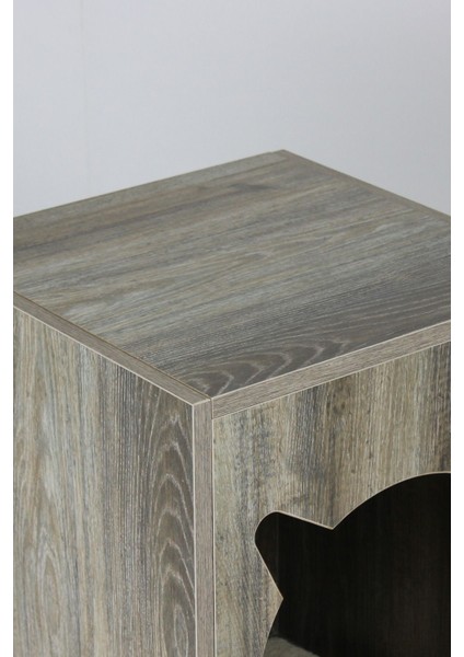 Bonn Kedi Evi modelleri