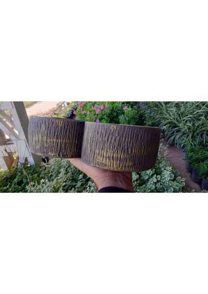 Kalp Şeklinde Beton Saksı (Gerçek Beton) fırsatları