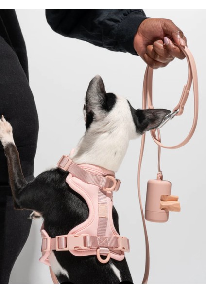 '' Fancy '' 4 Parça Köpek Gezdirme Seti - Amerika'nın En Meşhur Köpek Gezdirme Seti indirimleri