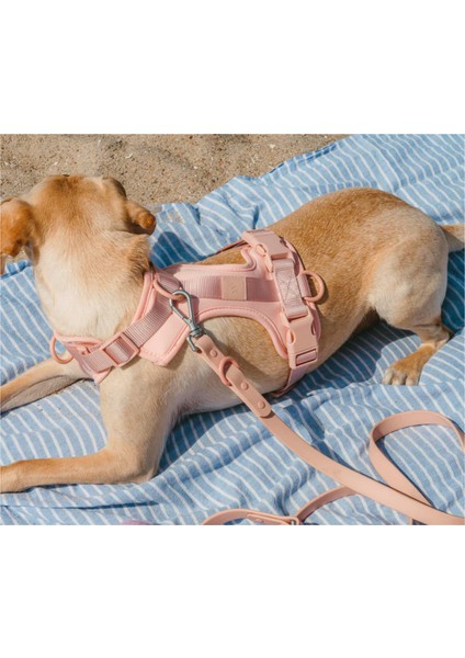 '' Fancy '' 4 Parça Köpek Gezdirme Seti - Amerika'nın En Meşhur Köpek Gezdirme Seti