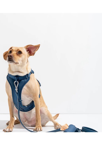 '' Fancy '' 4 Parça Köpek Gezdirme Seti - Amerika'nın En Meşhur Köpek Gezdirme Seti