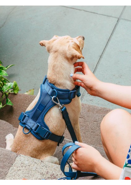 '' Fancy '' 4 Parça Köpek Gezdirme Seti - Amerika'nın En Meşhur Köpek Gezdirme Seti