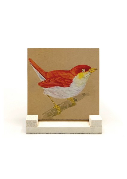 Kuşbaskılı Doğaltaş Masaüstlük fiyatları