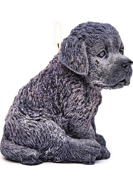 Dekoratif Büyük Siyah Köpek Mum