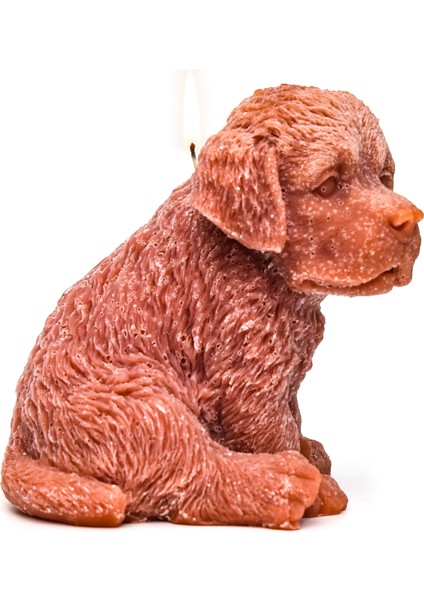 Dekoratif Büyük Kahverengi Köpek Mum