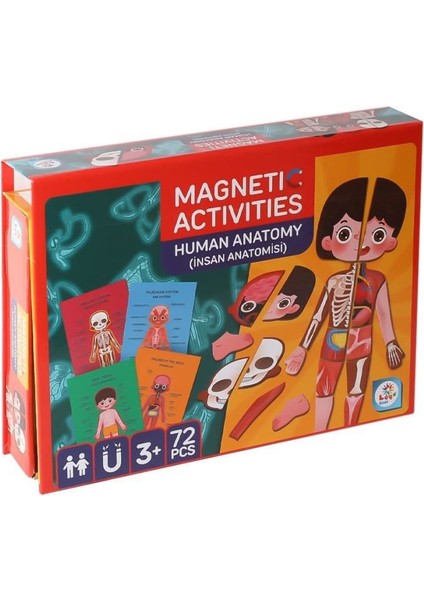 Laço Kids LC986 Manyetik Aktivite Insan Anatomisi -Laço