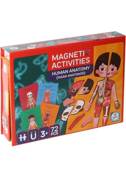 Laço Kids LC986 Manyetik Aktivite Insan Anatomisi -Laço