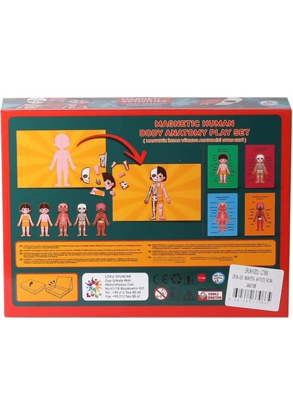 Laço Kids LC986 Manyetik Aktivite Insan Anatomisi -Laço