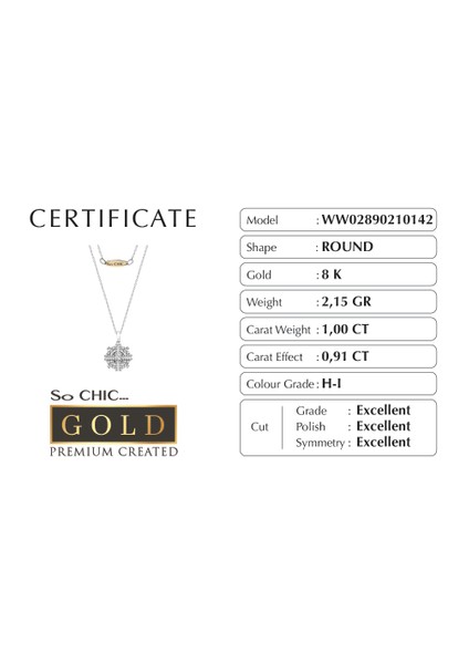 So CHIC Beyaz Altın Sertifikalı Premium Created 0.91 Ct Effect Kar Tanesi Kolye