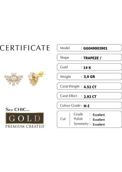 14 Ayar Altın Beyaz Altın Sertifikalı Premium Created Taşlı Baget Küpe fiyatları