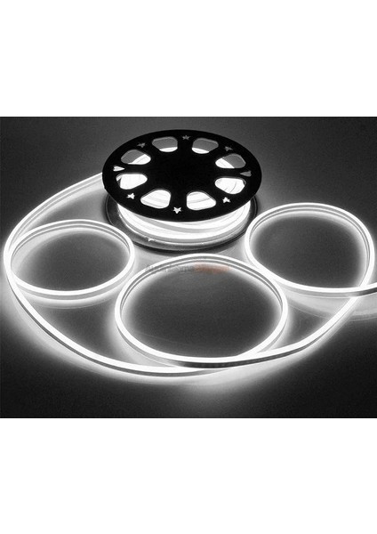 (25 Metre)Neon LED Hortum (Günışığı)