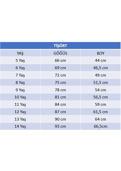 Kırmızı Ata Tasarımlı Tişört Koleksiyonu - 23 Nisan 29 Ekim Tören Giysisi fiyatları