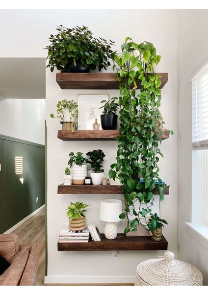 Dekoratif Doğal Ahşap Raf 4'lü Takım - 60X20x4 cm (Gizli Aparatlı Raf)