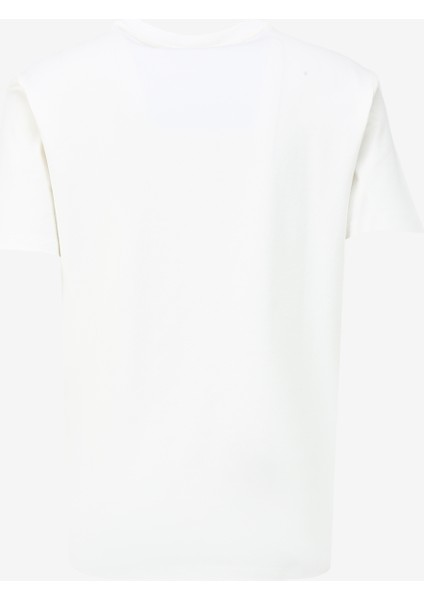 Beyaz Erkek Bisiklet Yaka Basic Baskılı T-Shirt D4SM-TST3304 fiyatları