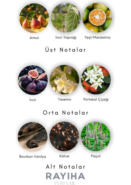 W16 Yvs Sein Lauren Black Opium Kadın Parfüm 100ML fiyatları