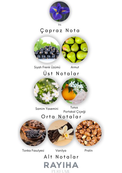 W16 Yvs Sein Lauren Black Opium Kadın Parfüm 100ML fırsatları