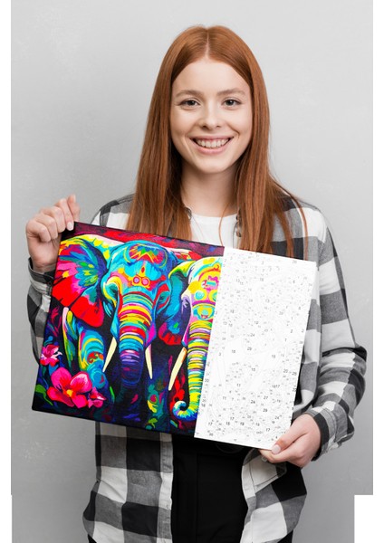 Sayılarla Boyama Tuval Hobi Seti Fırça Boya Dahil Filler fiyatları