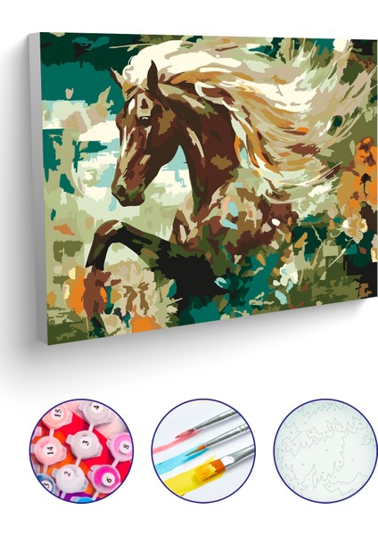 Picasso Sayılarla Boyama Tuval Hobi Seti Fırça Boya Dahil At