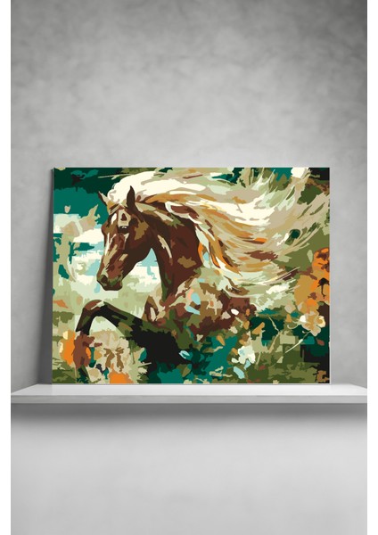 Picasso Sayılarla Boyama Tuval Hobi Seti Fırça Boya Dahil At