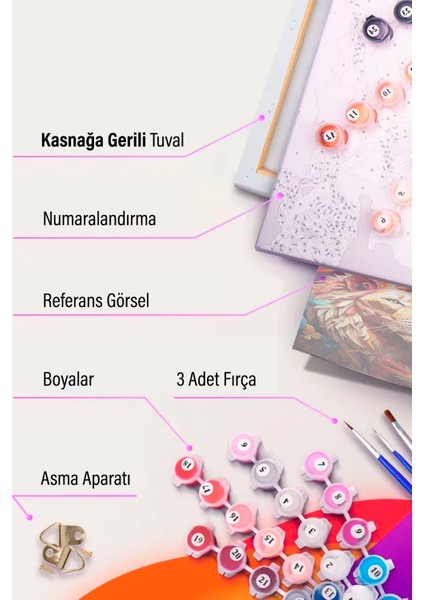 Sayılarla Boyama Tuval Hobi Seti Fırça Boya Dahil Koşan Atlar