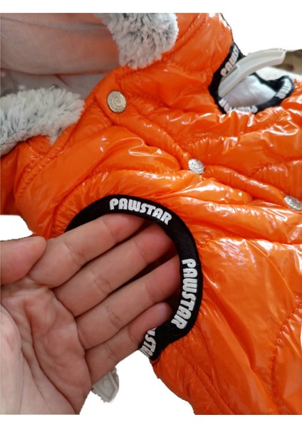 Küçük ve Orta Irk Köpek Yağmurluğu Köpek Yağmurluk ve Kışlık Kıyafeti Mbeden fırsatları