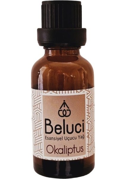 Okaliptus Uçucu Buhurdanlık Yağı Oda Kokusu Aromaterapi 30 ml
