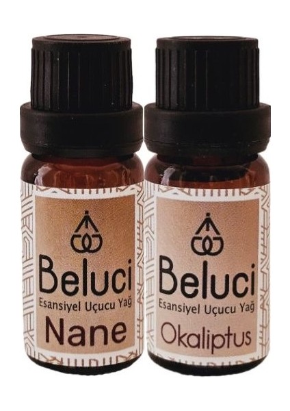 Nane + Okaliptus Uçucu Buhurdanlık Yağı Oda Kokusu Aromaterapi Set ( 2 Adet x 10 ml )